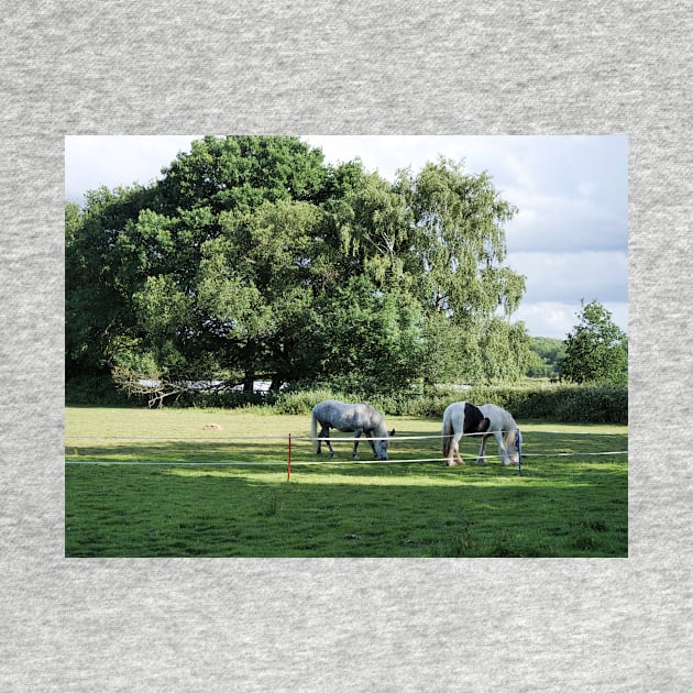 Ponies grazing in the woodland by fantastic-designs